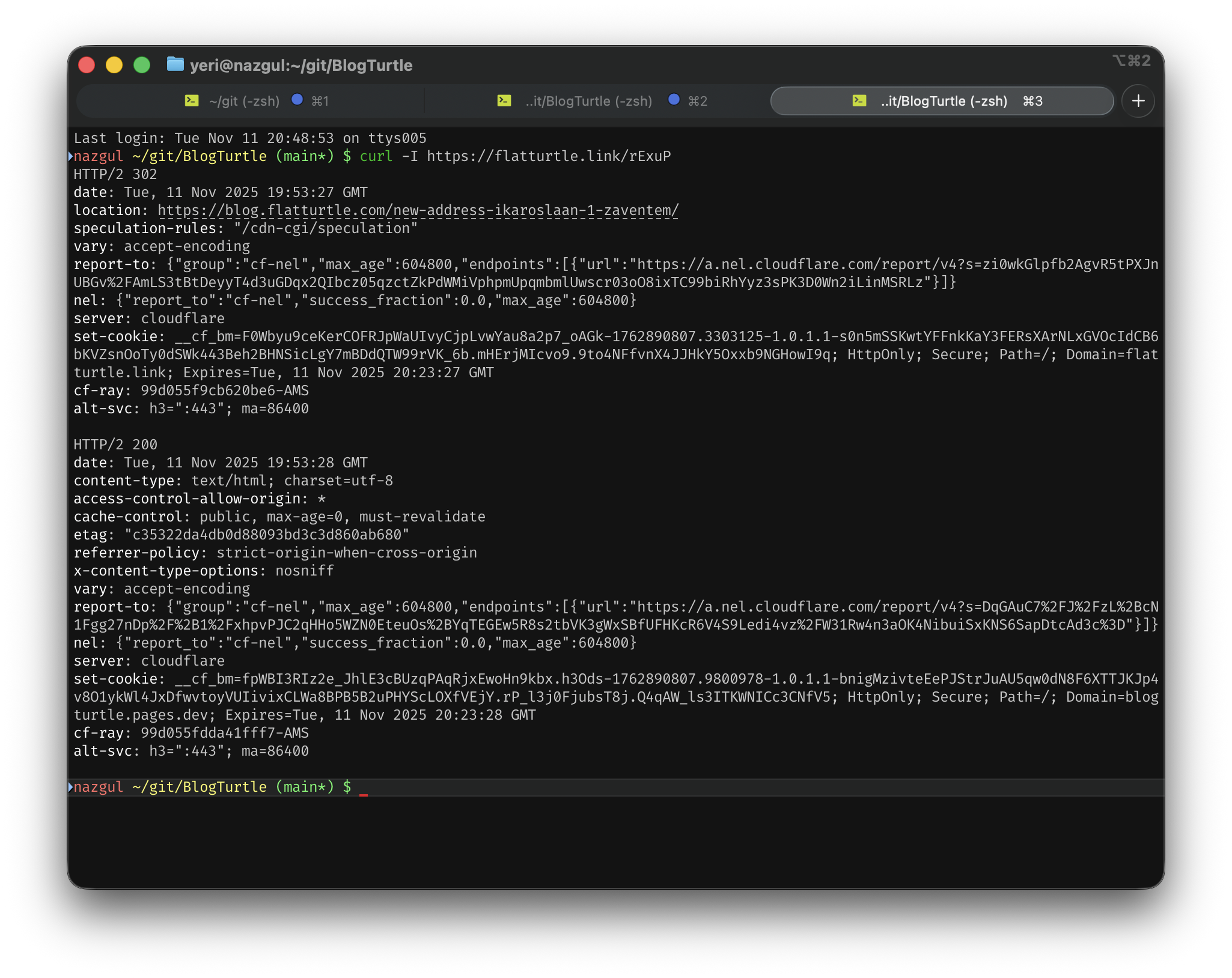 curl of a FlatTurtle.link short URL